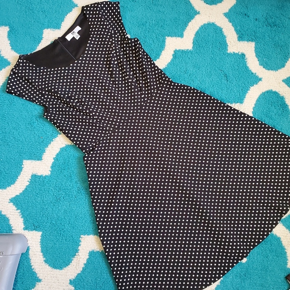 Dr Collection fit and flare dress size 10